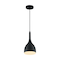 Nuvo Fixture, Pendant, 1-Light, Incandescent, 60W, 120V, A19, Medium Base, Wire Length: 12 ft. 60/7086 - alternate 1